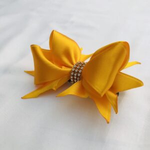 Boutique Hair Clip