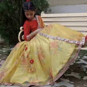 Organza Lehenga Choli